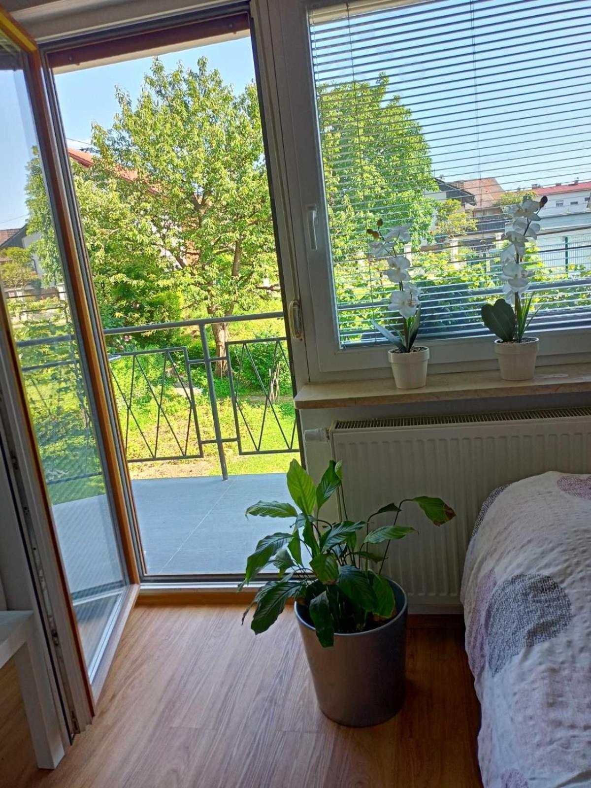 Guesthouse Flower Любляна Экстерьер фото